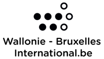 1193-wallonie-bruxelles-international.png